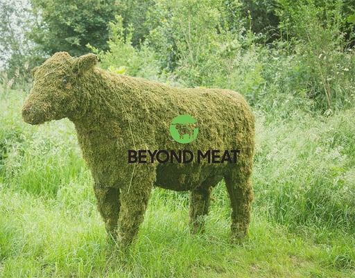 beyond-meat-cs-3