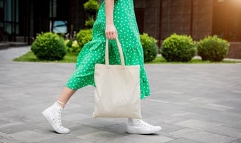 when-sustainability-meets-the-limits-of-consumer-budgets