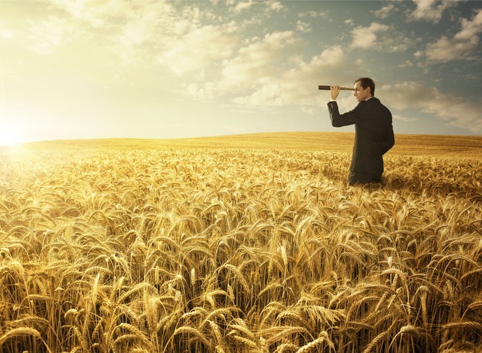 what-is-fieldwork-in-market-research
