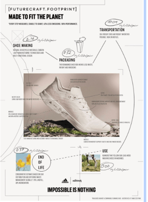 All-birds-brand-case-study