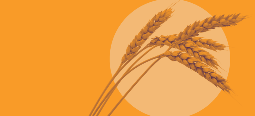 Agriculture