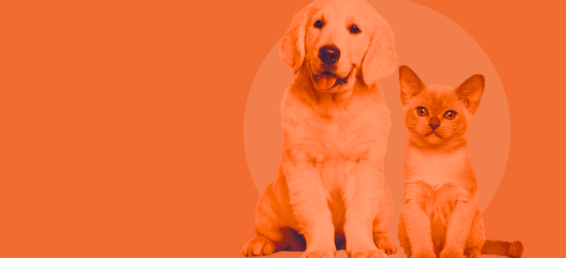 Animal Health